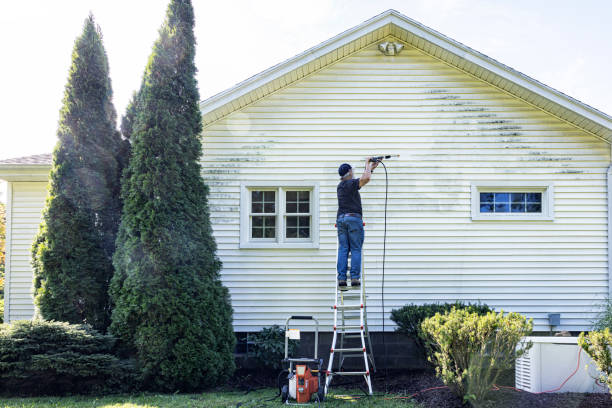 Best Graffiti Removal Services in Duquesne, MO